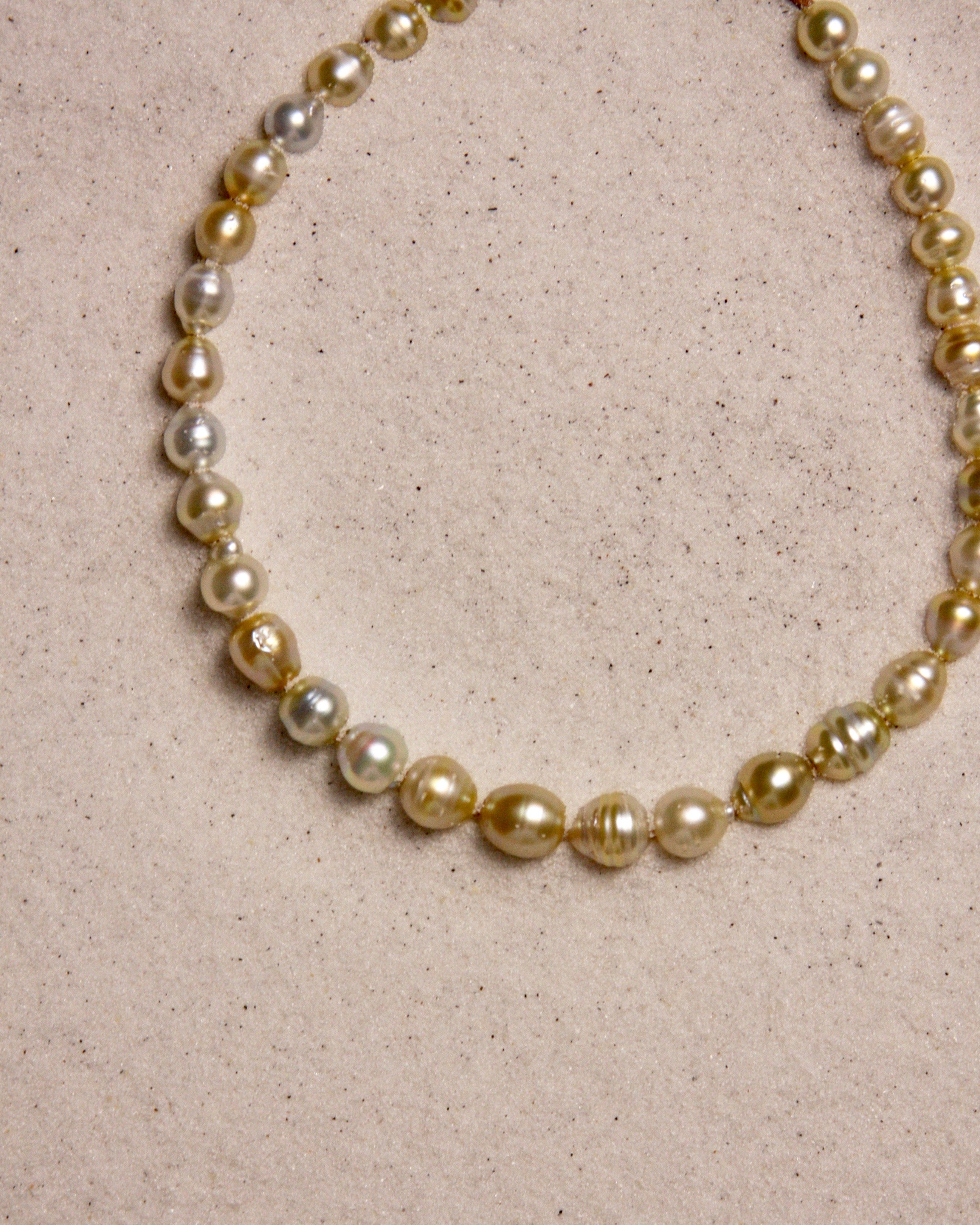 South Sea Golden Lariat