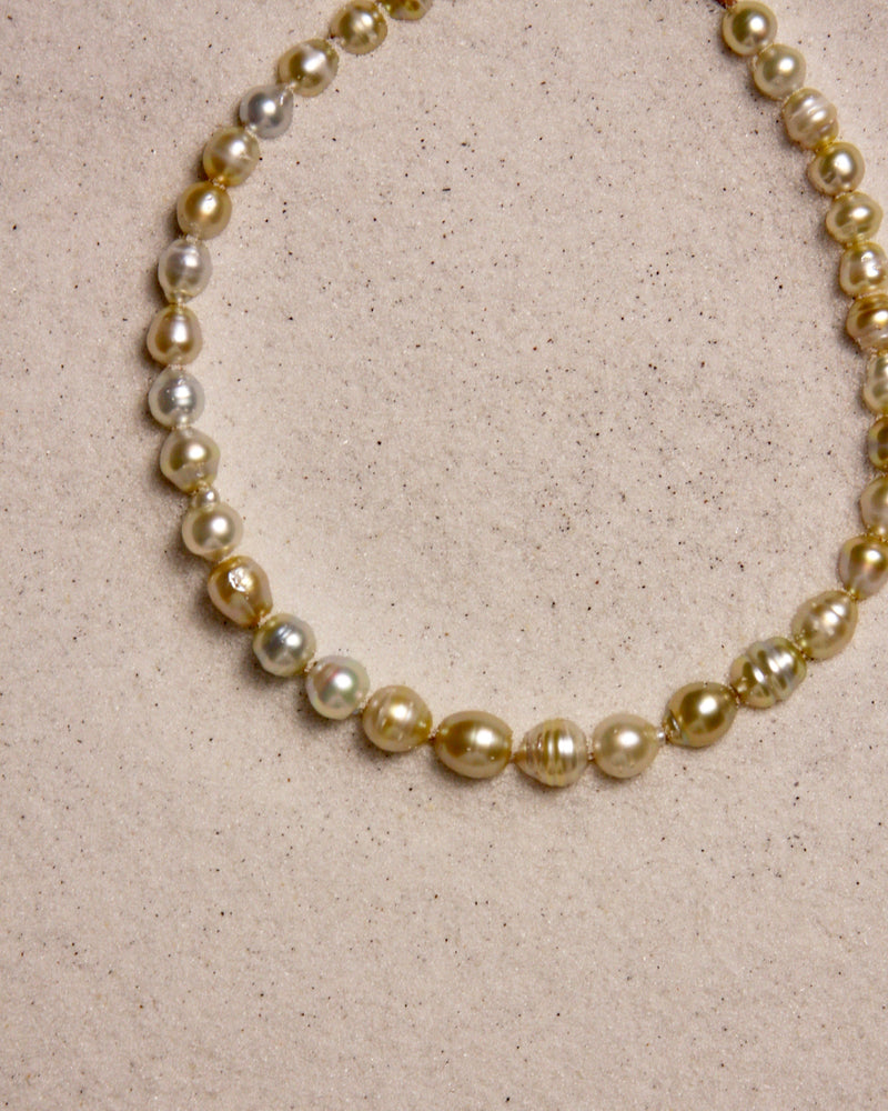 South Sea Golden Lariat