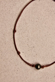 Zak with Knots Small